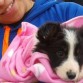 Su primer dia en casa